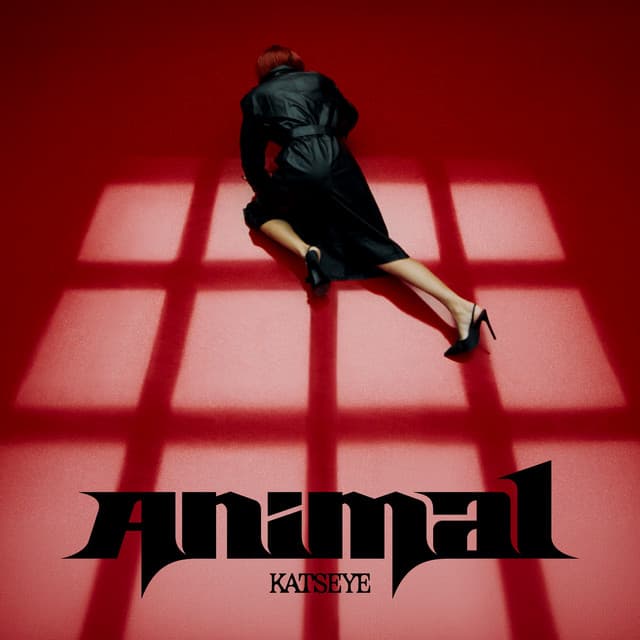 Animal (on the dance floor)
