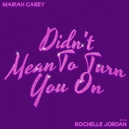 Didn't Mean To Turn You On (with Rochelle Jordan)
