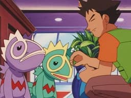 The Kecleon Caper