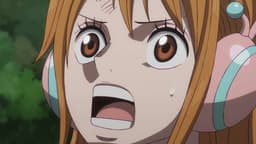 The Lost History - Joyboy, the First Pirate