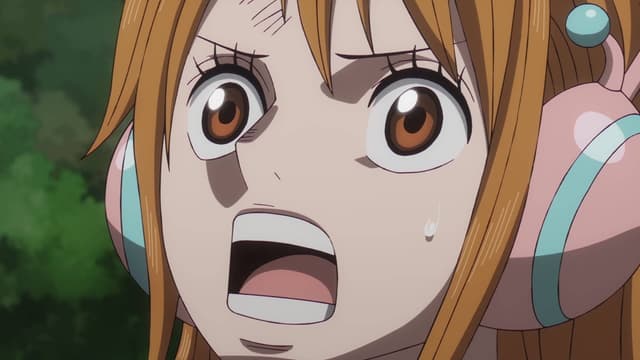 The Lost History - Joyboy, the First Pirate