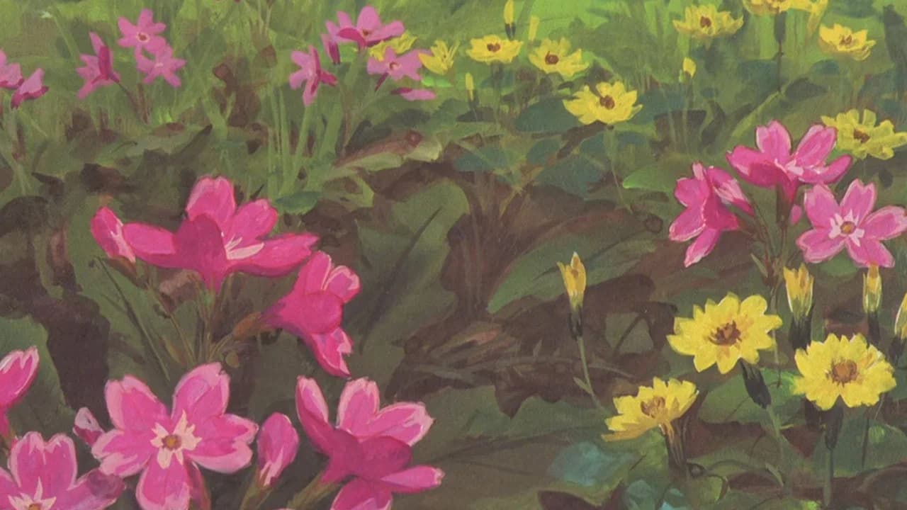 A 15-Year-Old's Spring