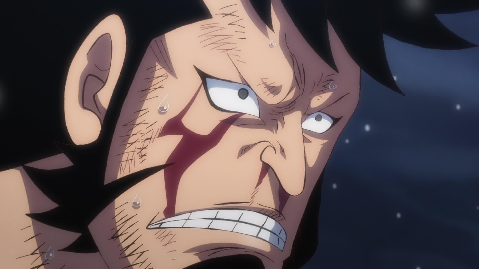 I Won’t Forgive Him! Chopper’s Determination!