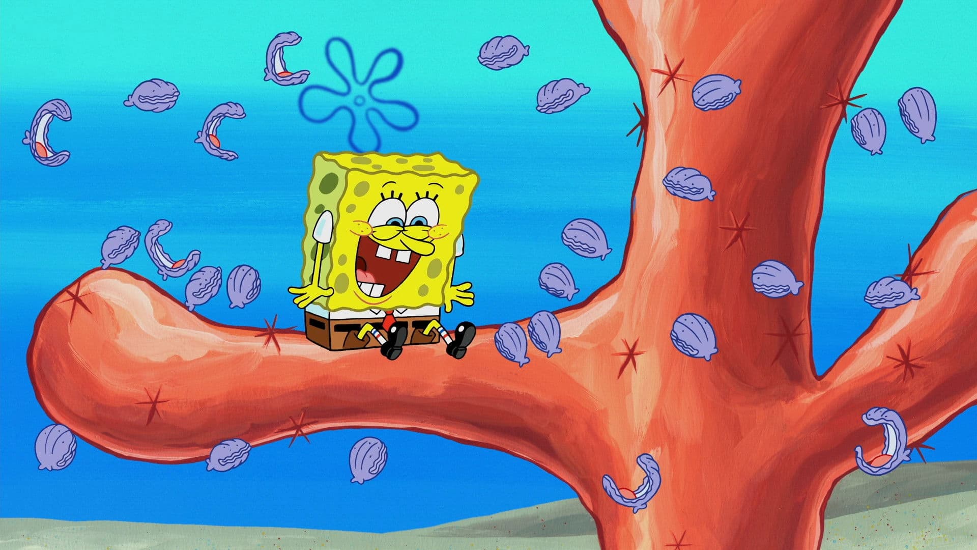 The Clam Whisperer
