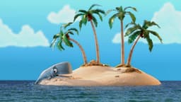 Whale Watching