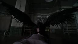 Dark Cousin