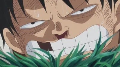 I'll Wait Here! Luffy vs. the Enraged Army!