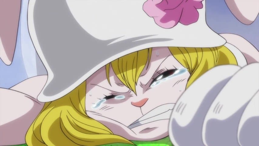 I'll Be Back! Luffy, Deadly Departure