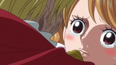 The End of the Adventure! Sanji's Resolute Proposal!