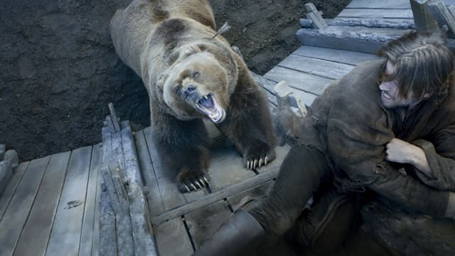 The Bear and the Maiden Fair