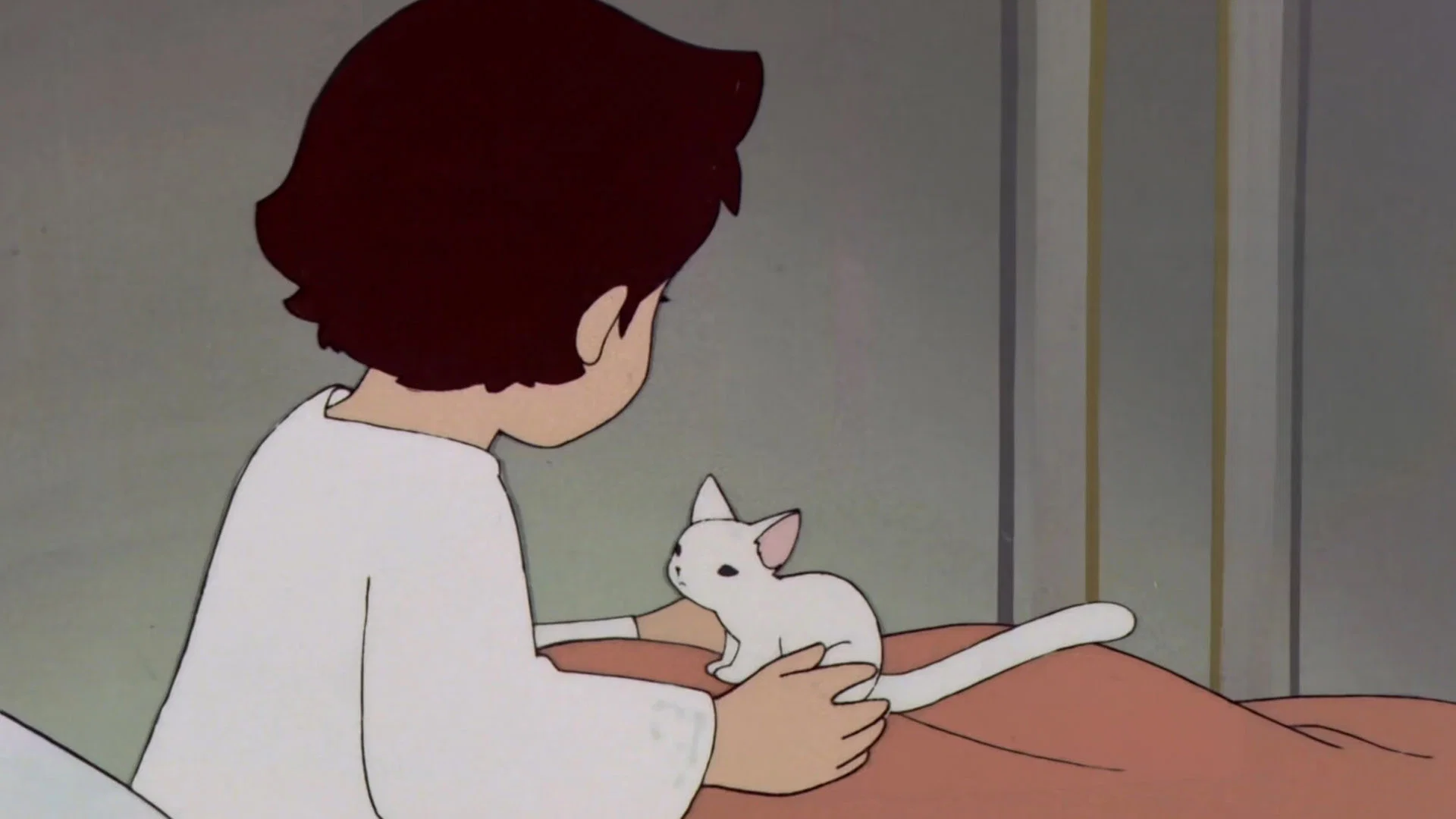 Meow Is Abandoned