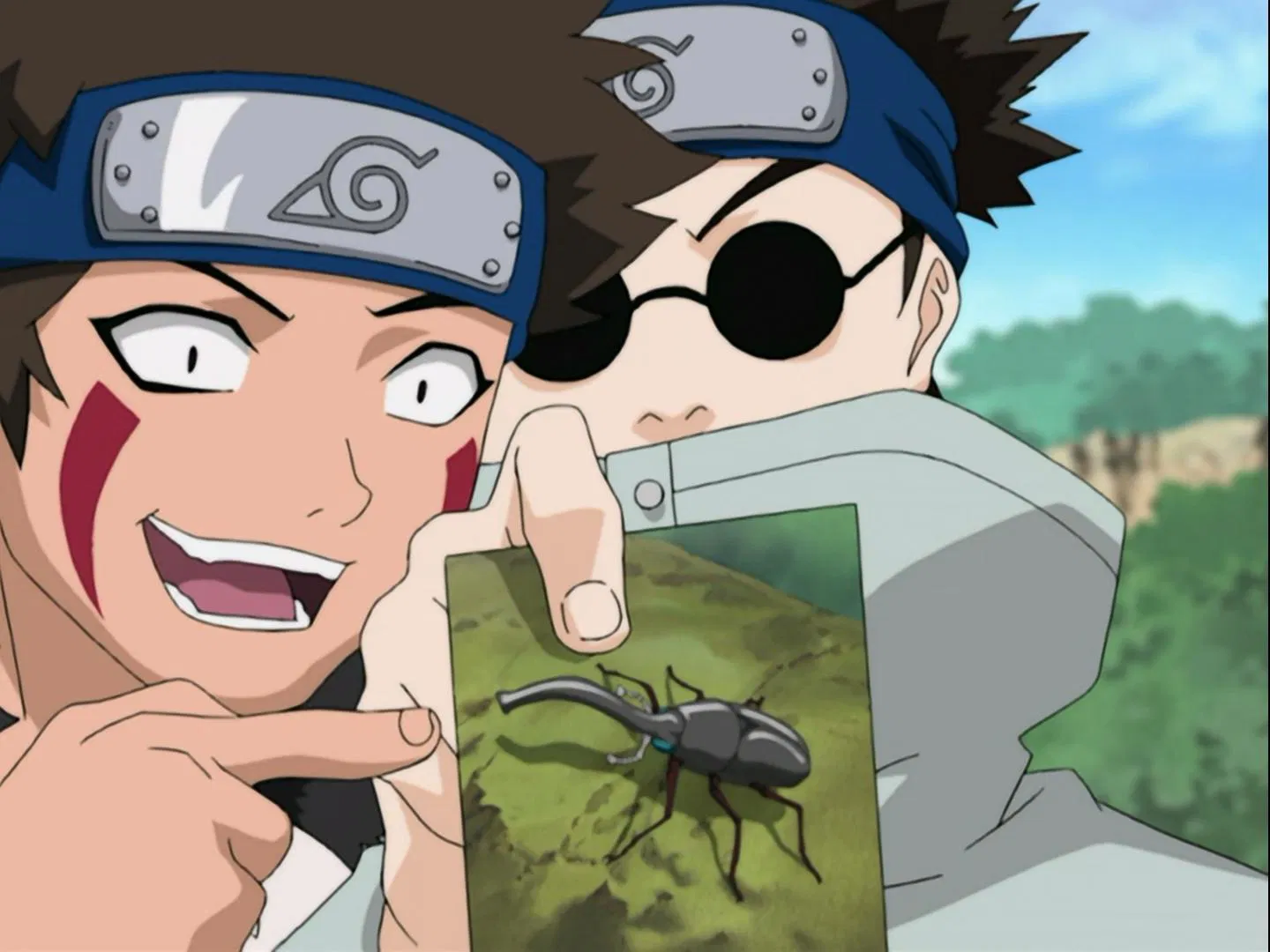 What's the Difference? Don't All Insects Look Alike?