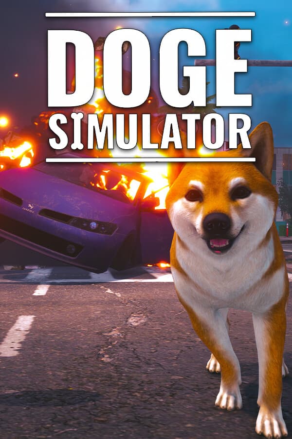 Doge Simulator